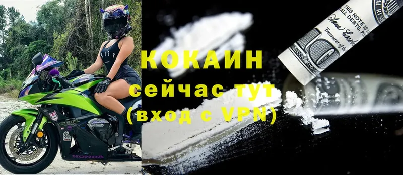 Cocaine FishScale  Козловка 