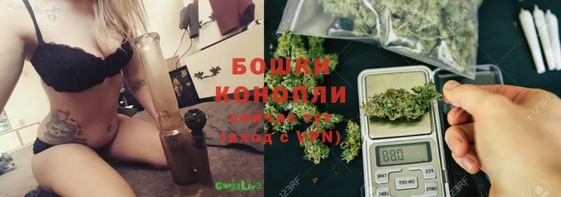 купить наркотики сайты  Козловка  Каннабис OG Kush 